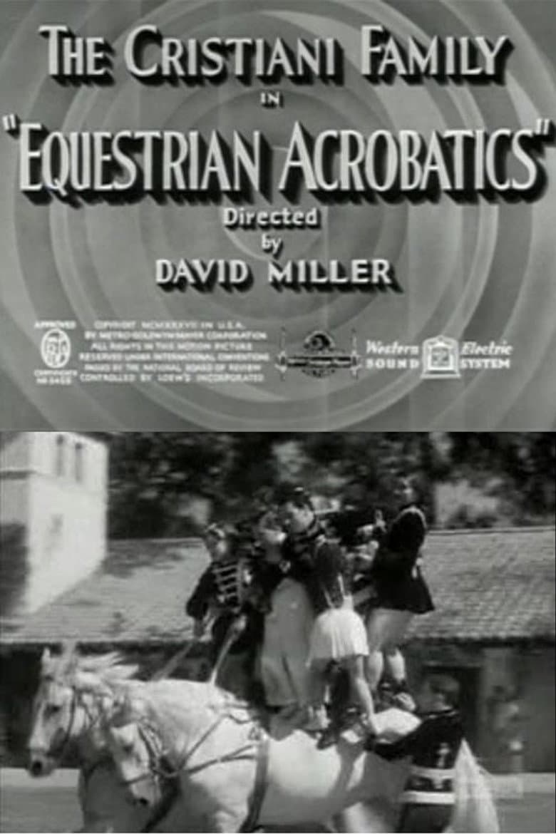 Equestrian Acrobats