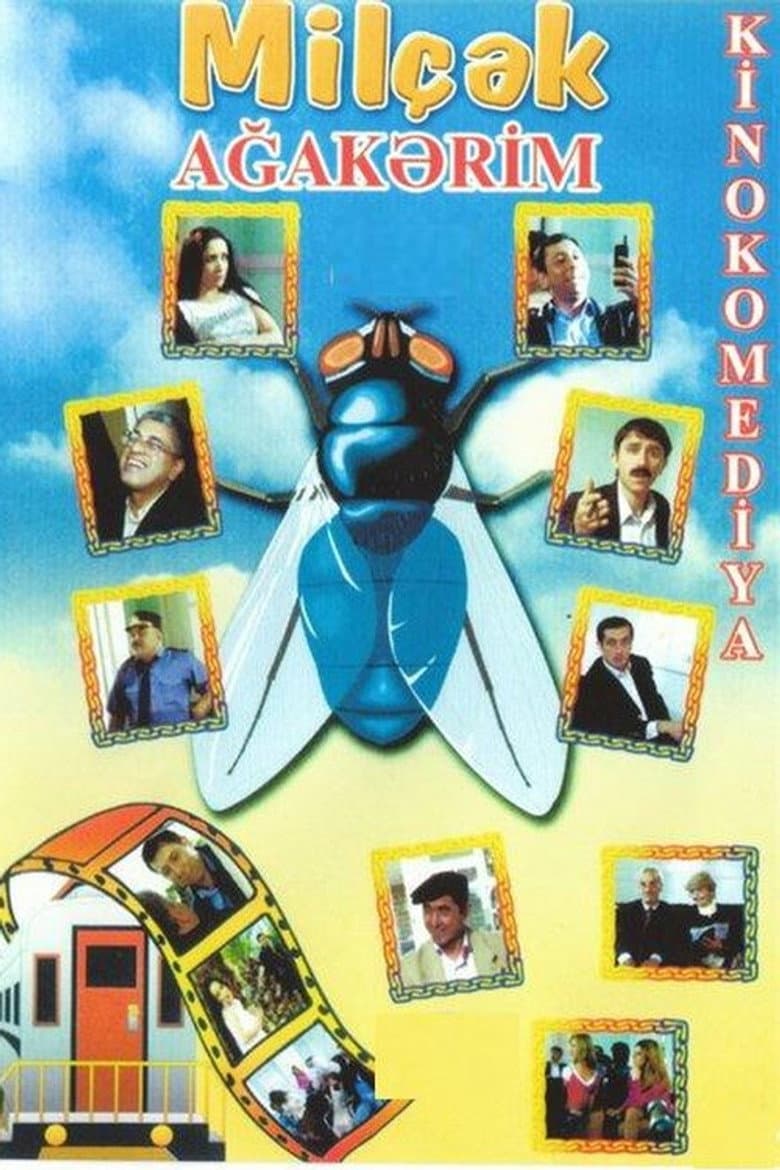 Fly