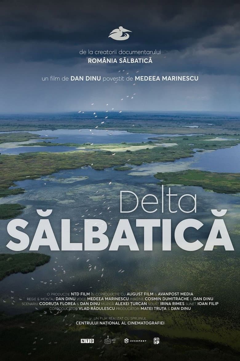 Wild Delta