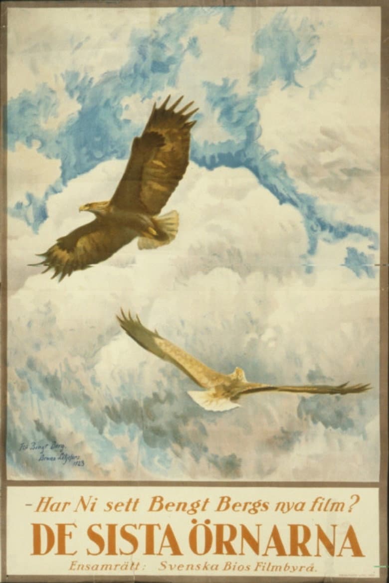 The Tale of the Last Eagles