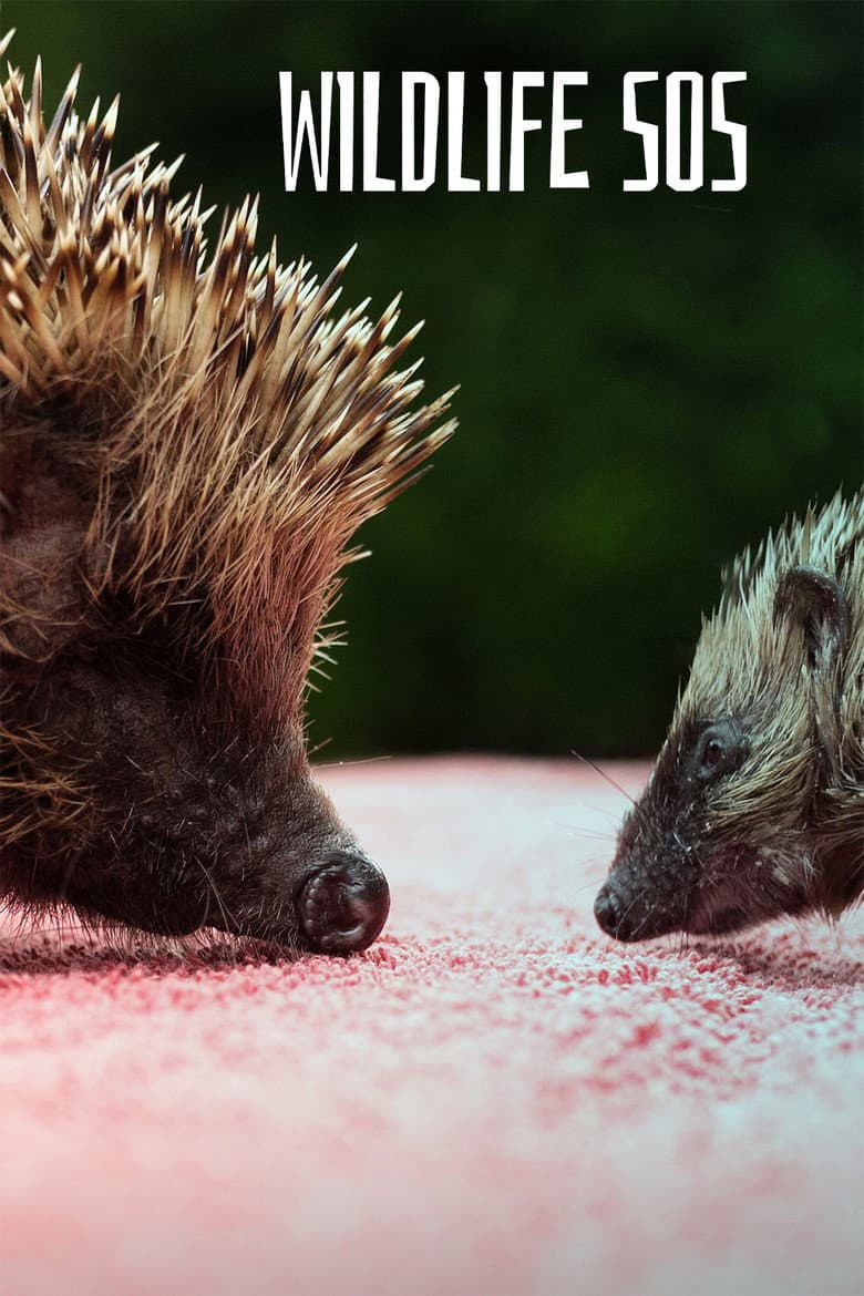 Wildlife SOS