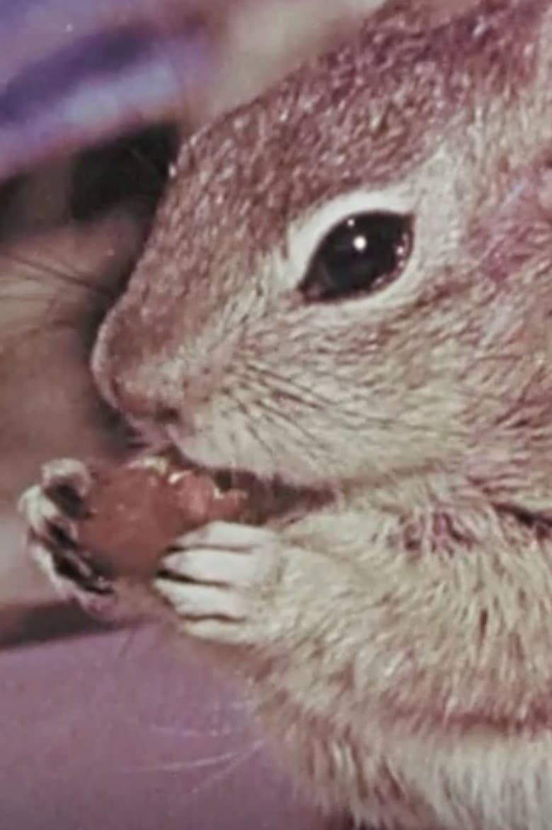 Squeak the Squirrel