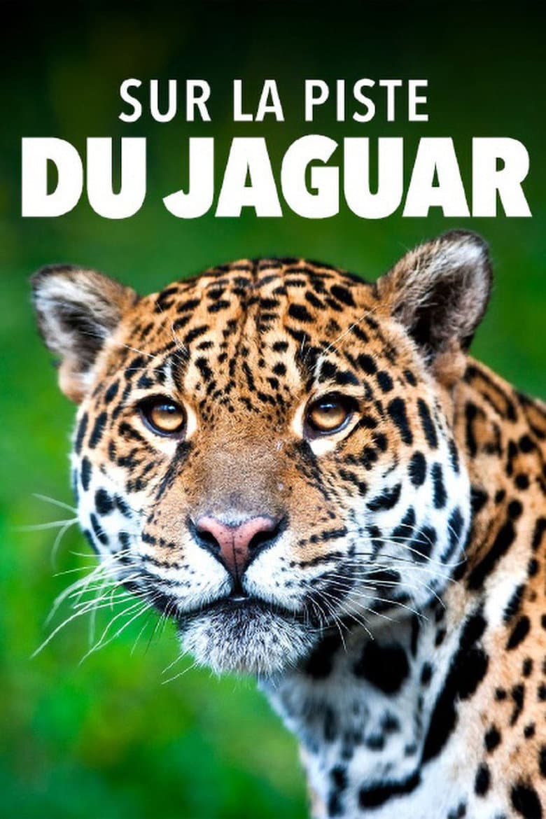 Jaguar: Jungle Icon of Guyana