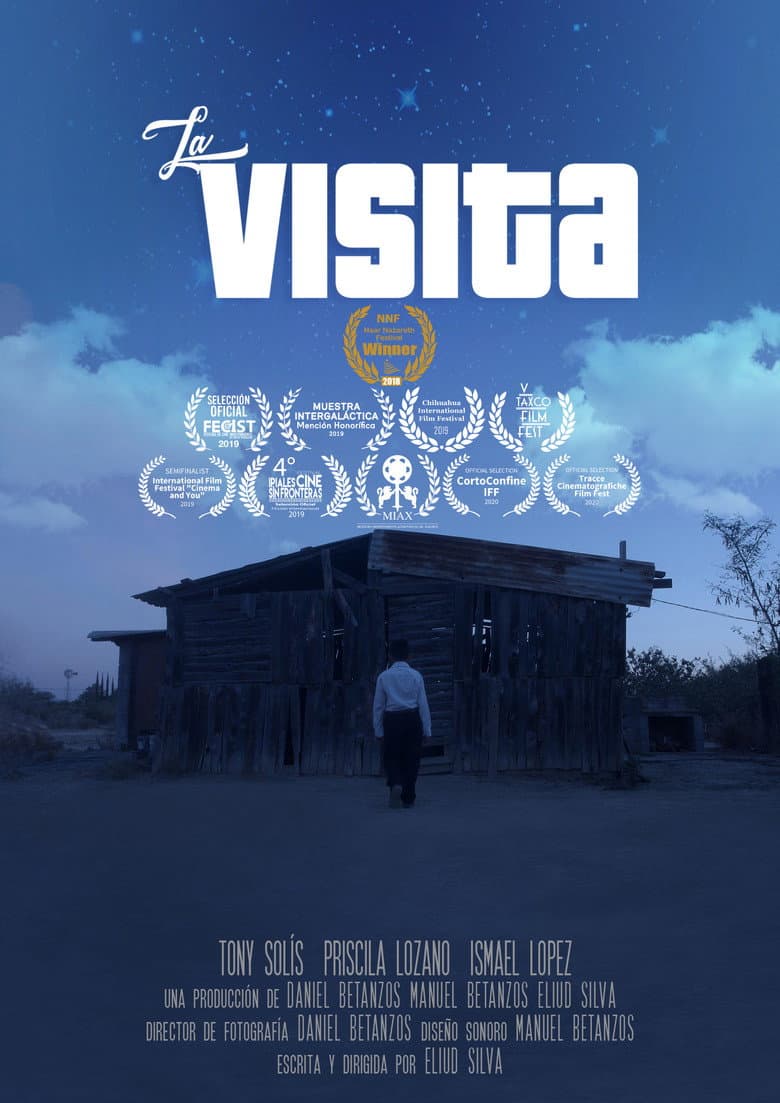The Visit