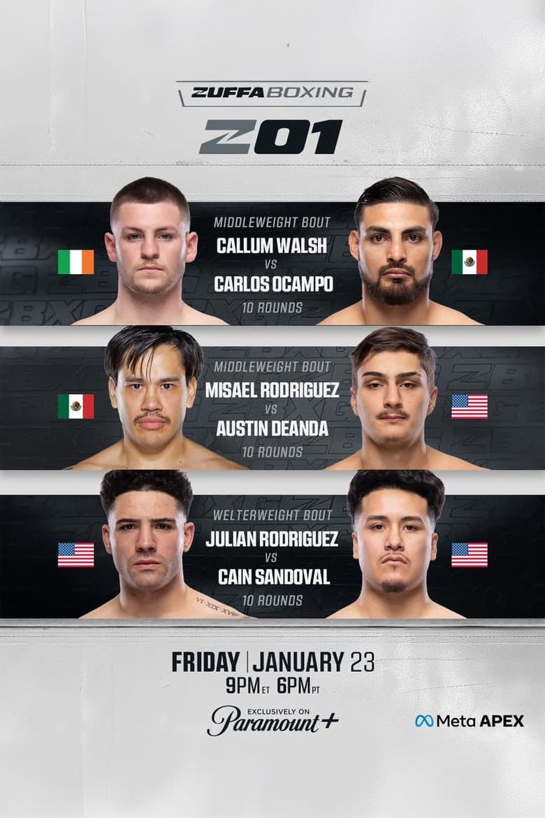 Zuffa Boxing 01
