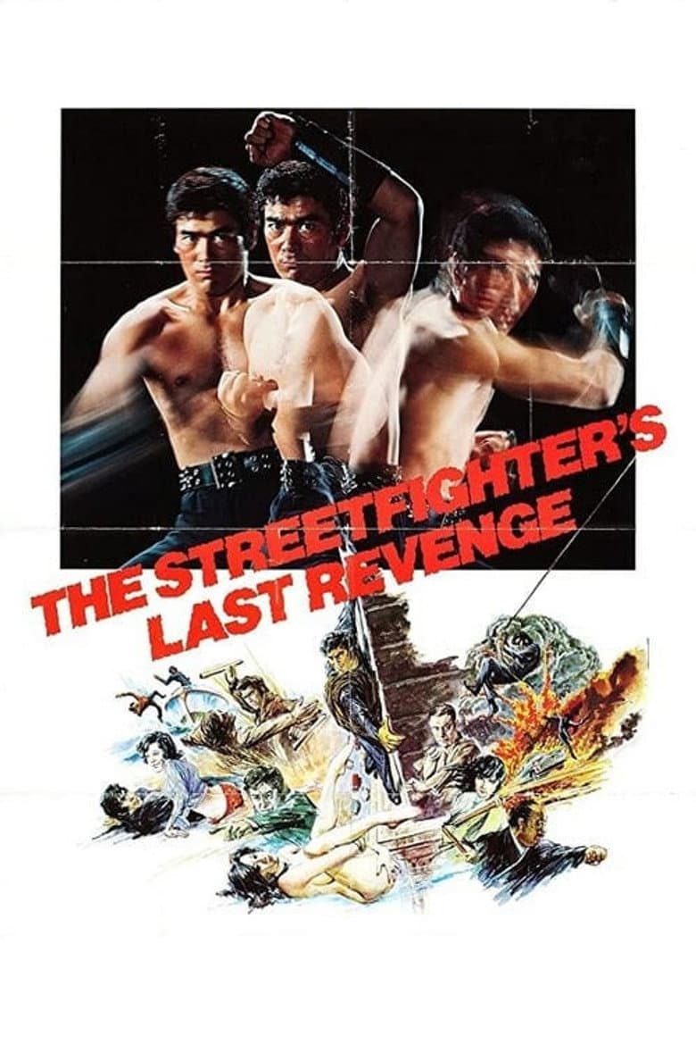 The Street Fighter's Last Revenge