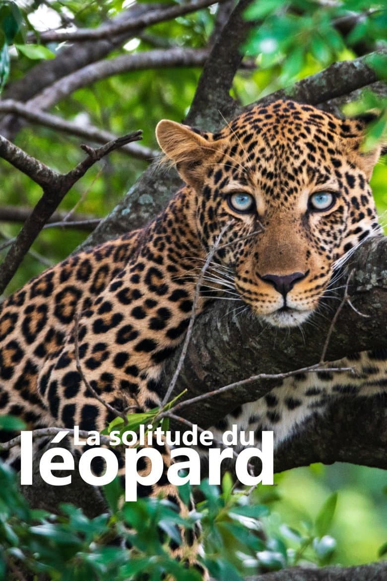 La solitude du léopard