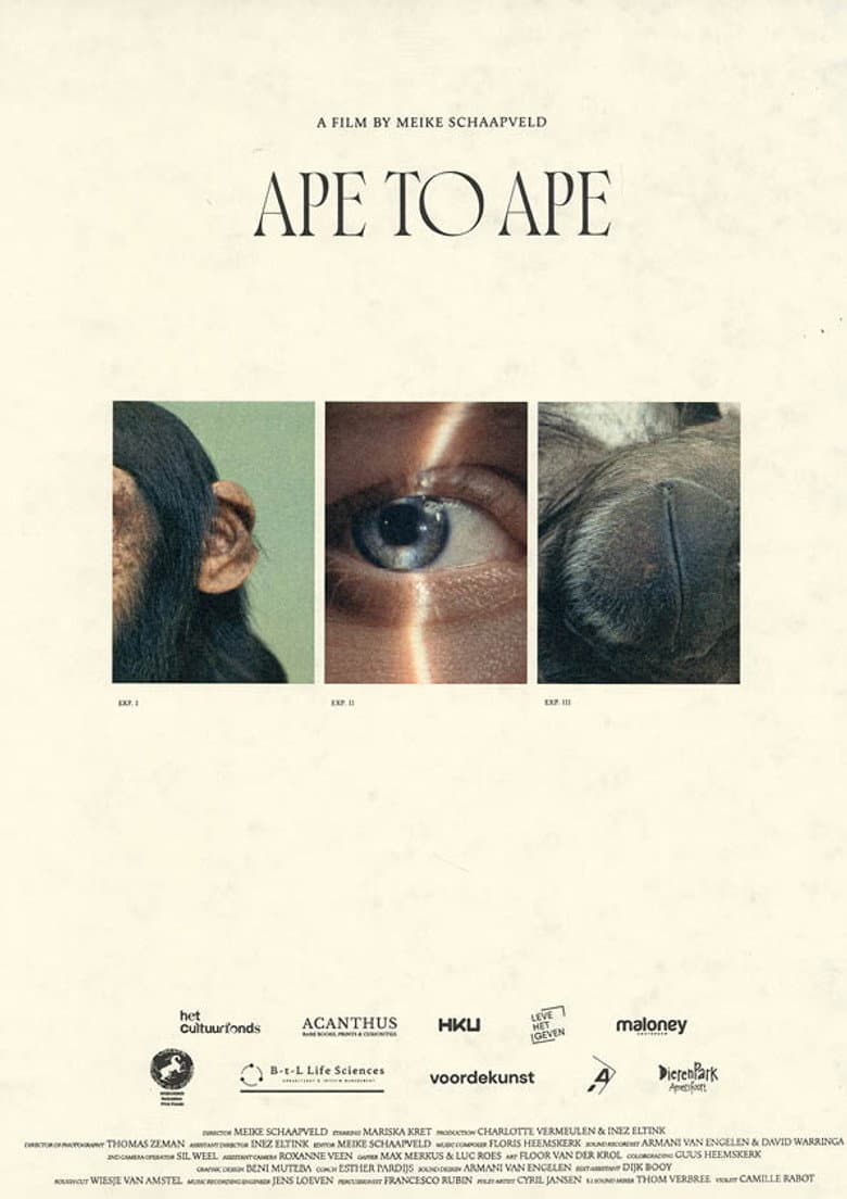Aap tot Aap
