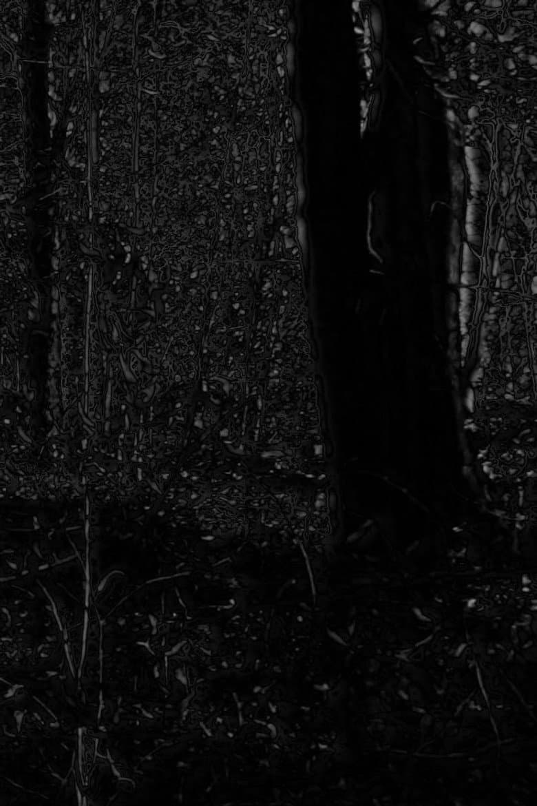 Phosphenes II