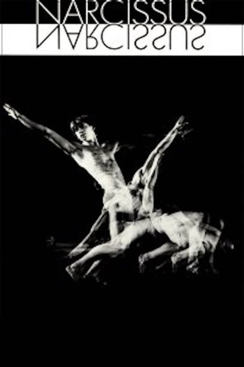 Narcissus