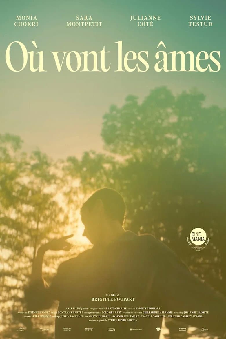 Where Souls Go