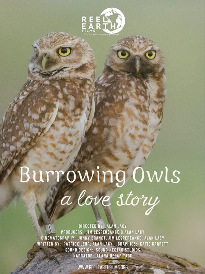 Burrowing Owls: A Love Story