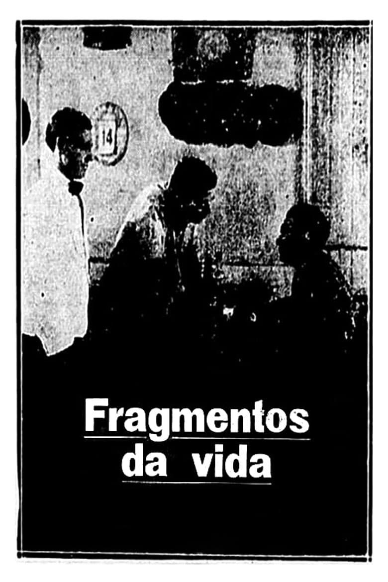 Life's Fragments